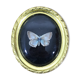 Butterfly under curved frame