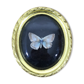 Butterfly under curved frame
