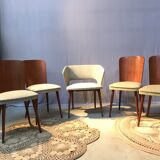 Set of 4 chairs and 1 armchair design 50s