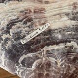 Large seashell: Placuna