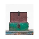 Industrial trunk