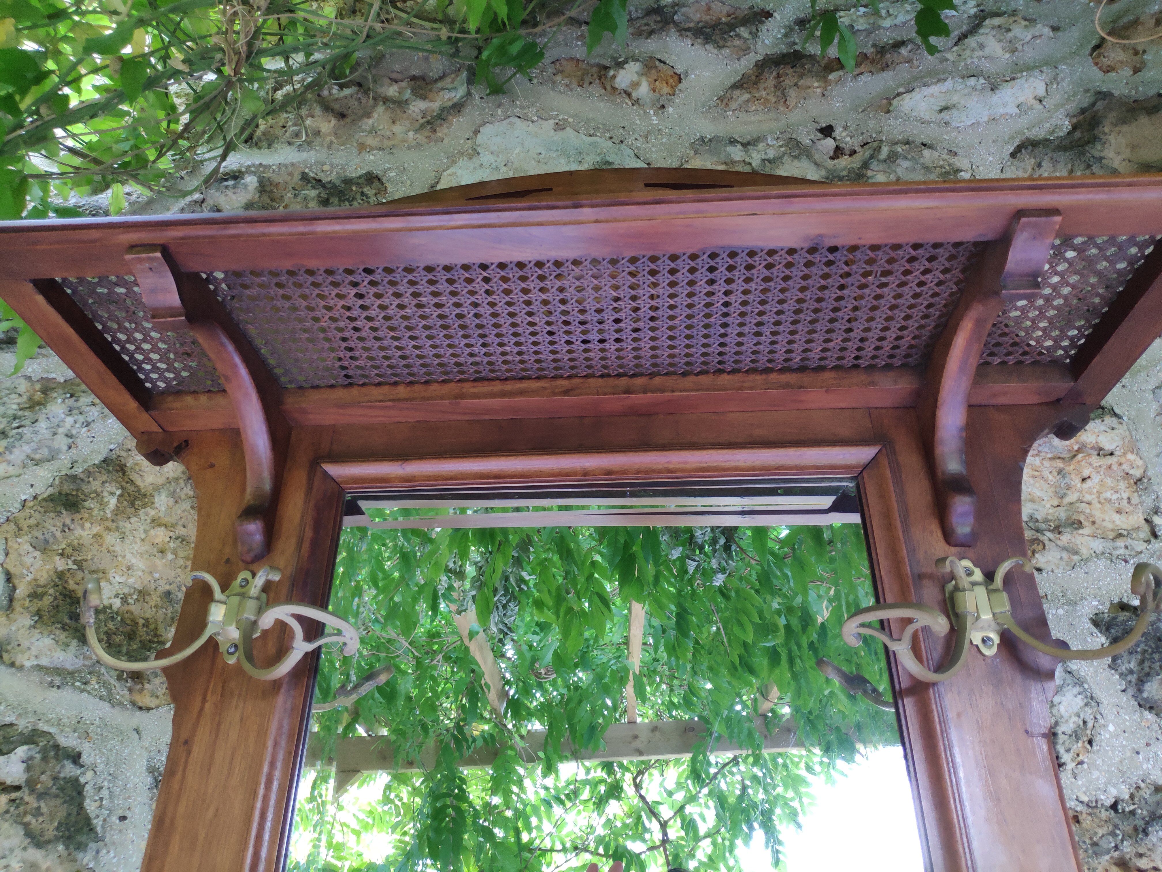 Vintage wardrobe door canna