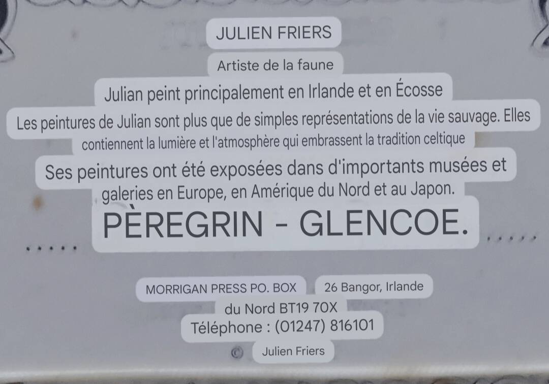 Lithograph Julian Friers – Peregrine Falcon at Glencoe – Framed painting