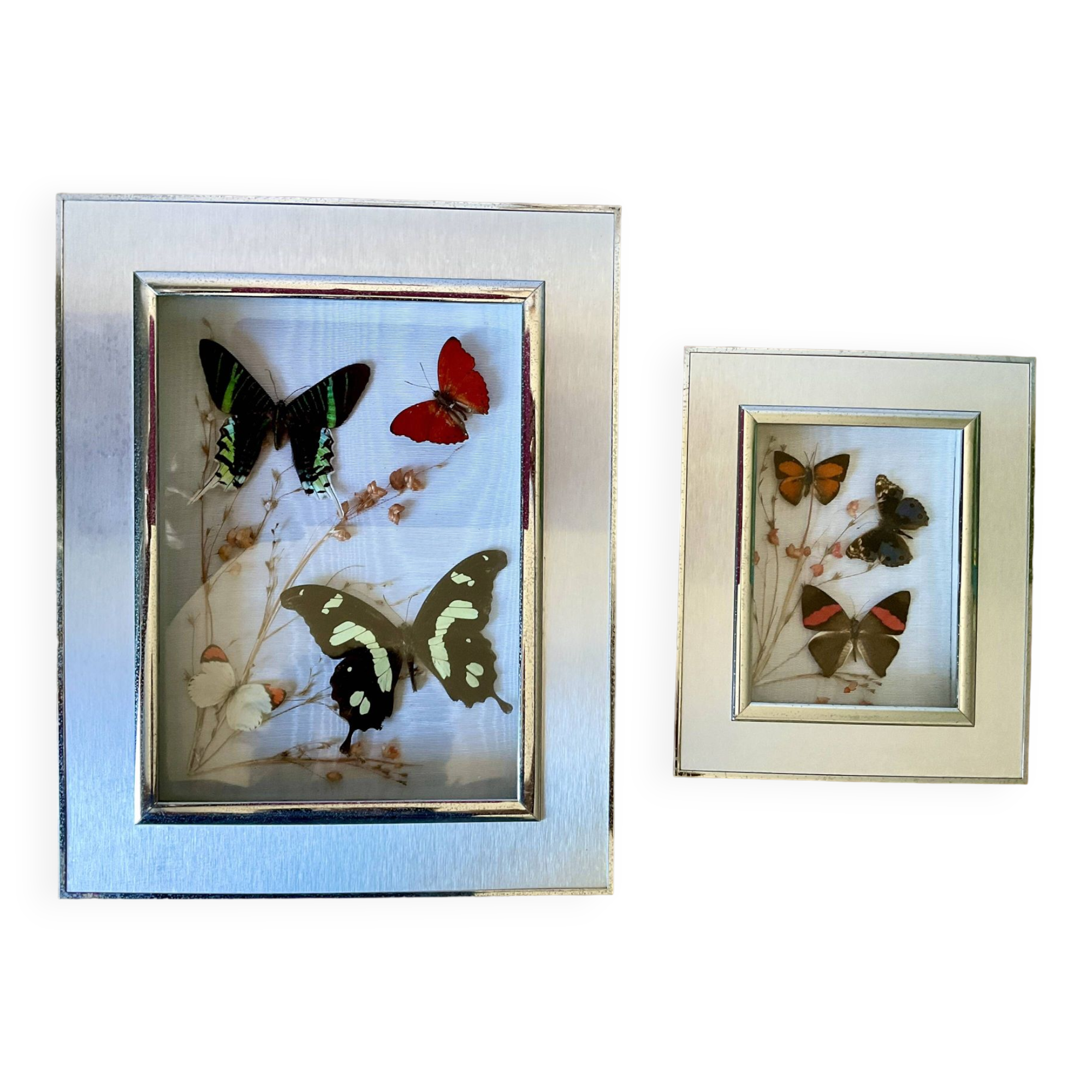 Lot de 2 cadres papillons vintage en métal