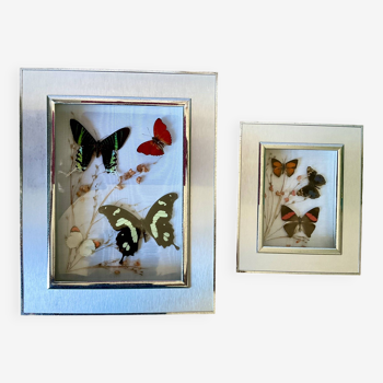 Set of 2 vintage metal butterfly frames