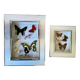 Lot de 2 cadres papillons vintage en métal