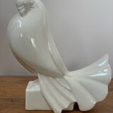 Pigeon Adnet