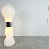 Vintage carlo Nason floor lamps, 1960s