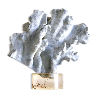 Branch of Blue Coral on a resin base, early 1970s