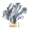 Branch of Blue Coral on a resin base, early 1970s