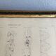 Architectural drawing 1857, glazed wood frame