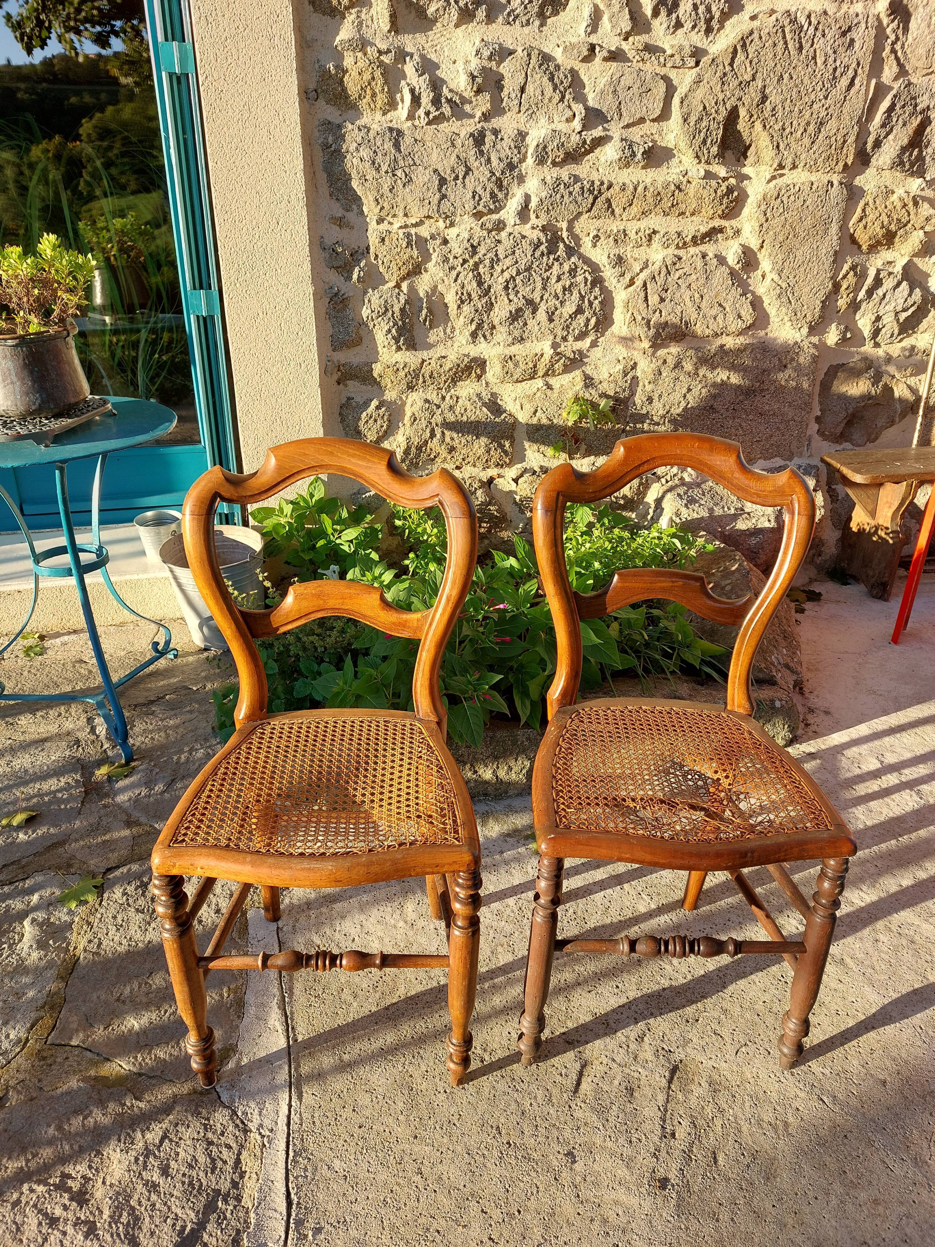 Lot of tanned chairs