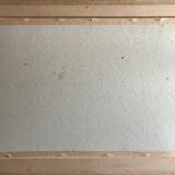 Watercolour painting "Wild Landscape" early 20th century + frame