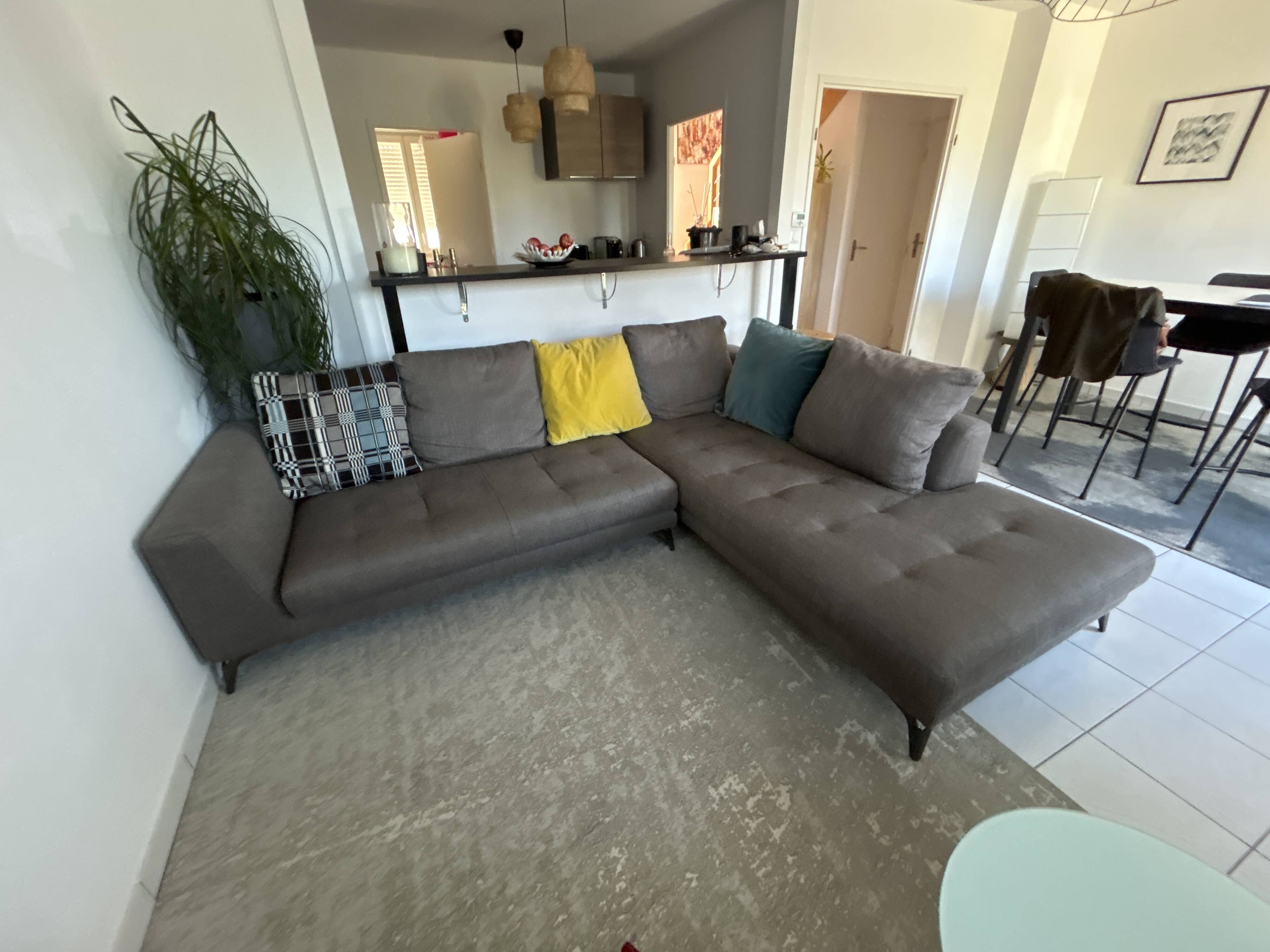 Canapé Roche Bobois