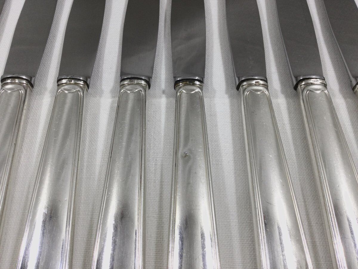 12 entremet knives silver metal net