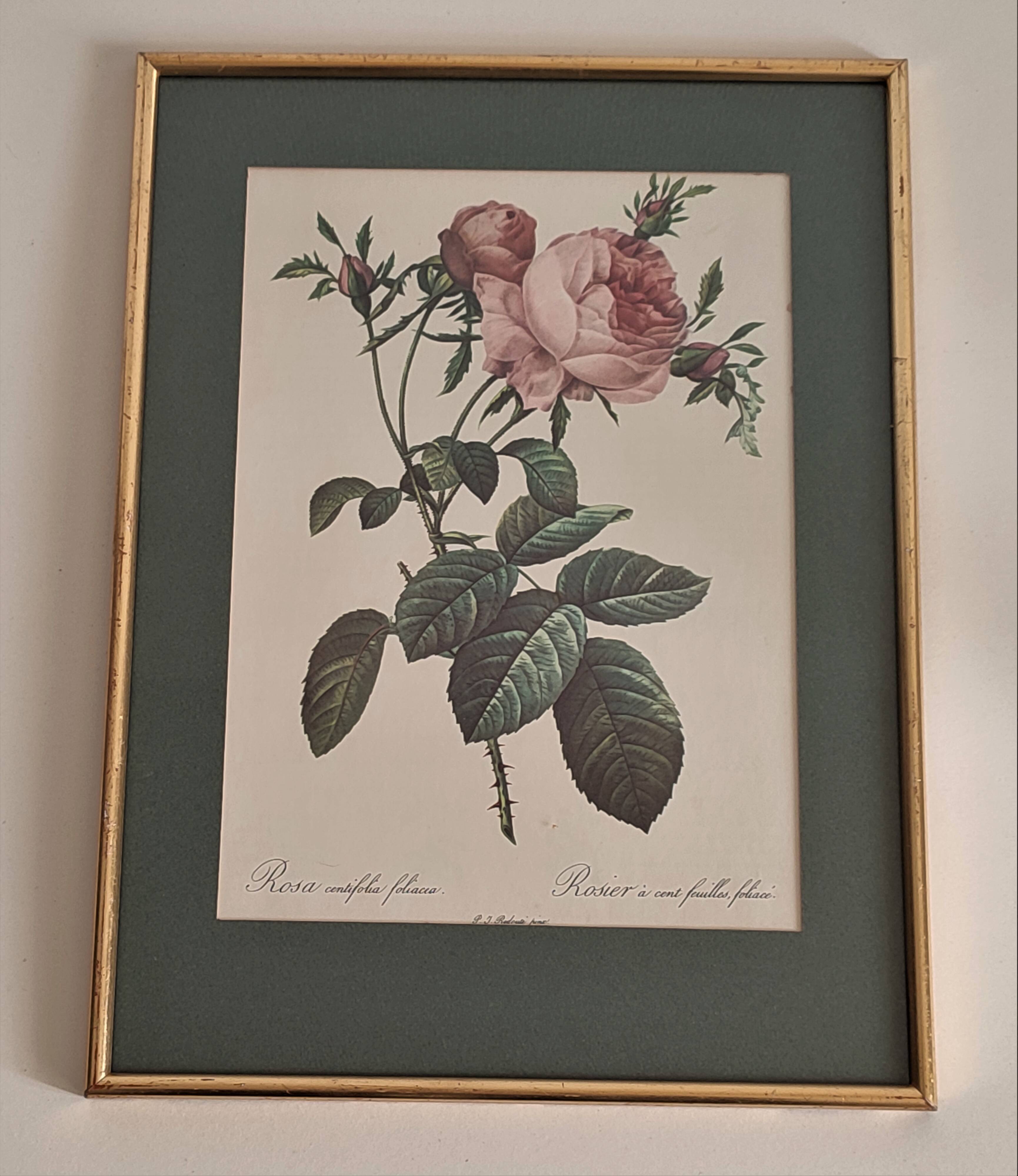 Dreaded Botanical Board