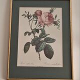 Dreaded Botanical Board