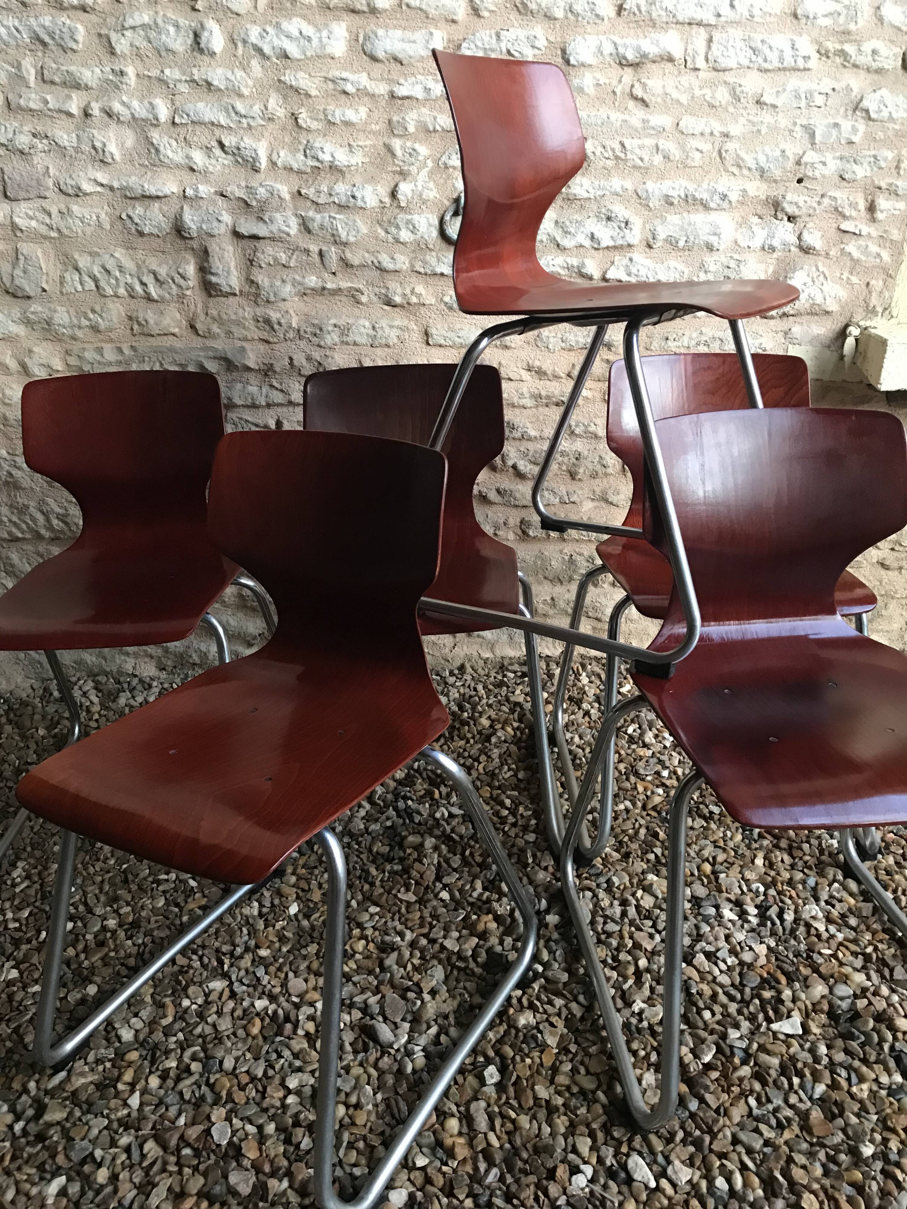 Set of 6 vintage Pagholz Flötotto stackable chairs in Pagwood