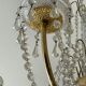Chandelier with brass and glass grapevines