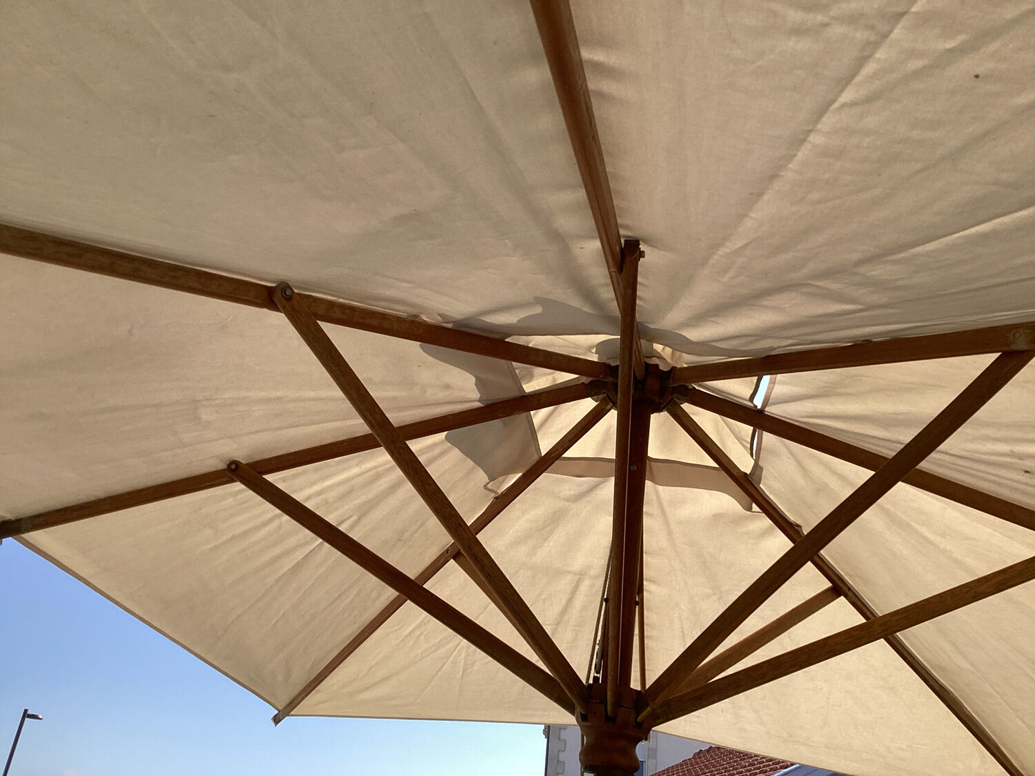 Parasol structure in exotic wood