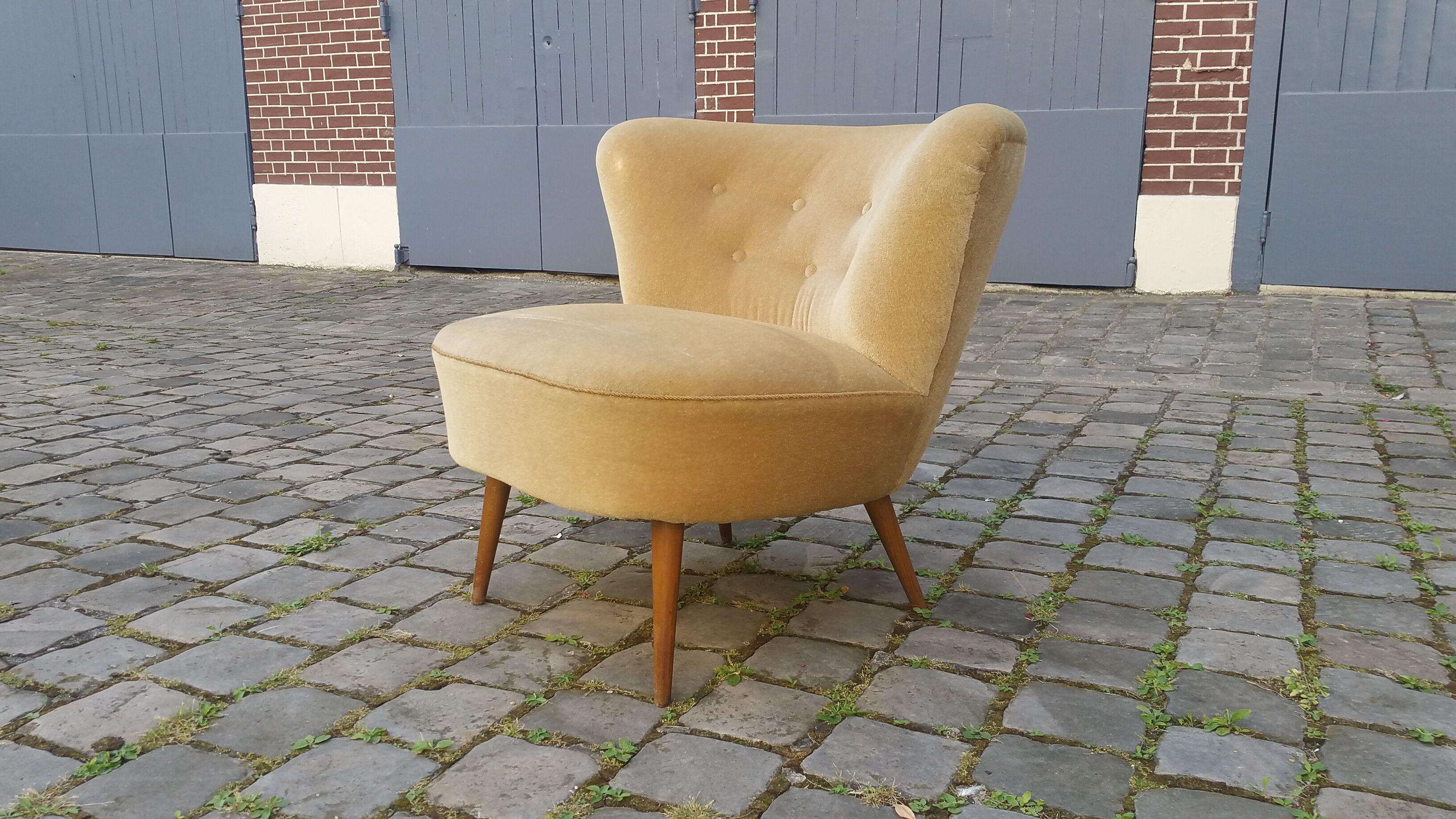Chair Chair 50s Toad