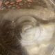 Seau A Vin Champagne Rafraîchissoir Verre Moule Made In Italy Vintage