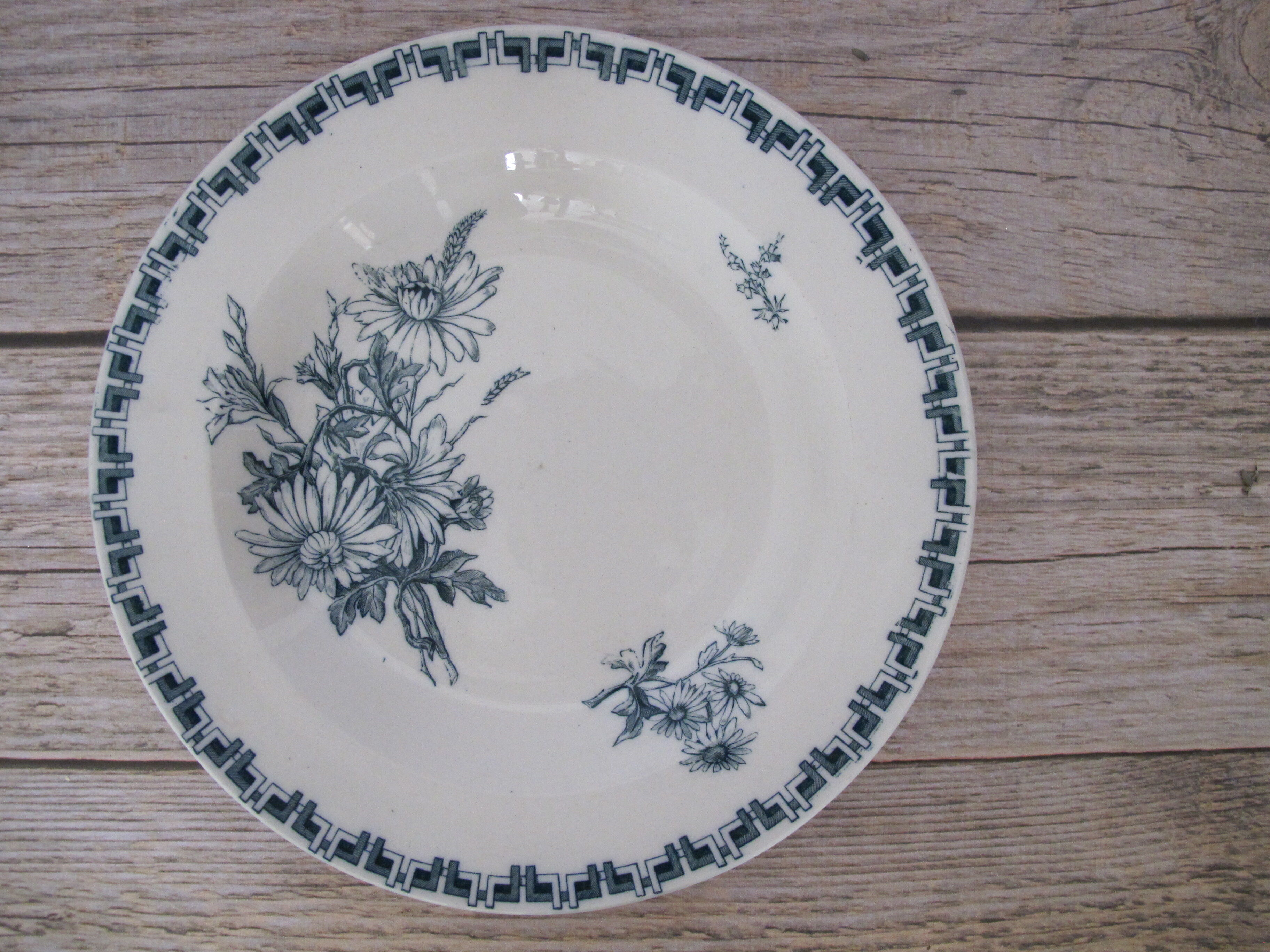 Set of 4 hollow plates in Iron Earth of Sarreguemines, model "Linnée".