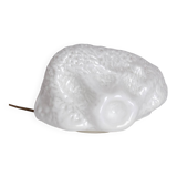 Osso, par Carlo Nason