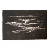Lithograph by Hans Fischer