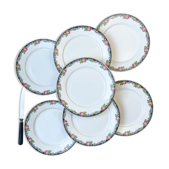 7 opaque porcelain dinner plates Digoin floral pattern 3984