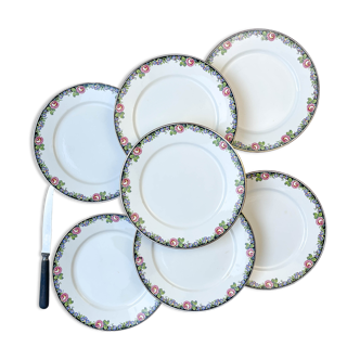 7 assiettes plates en porcelaine opaque Digoin motif fleuris 3984