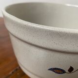 Salad bowl