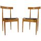 Pair of Very Rare Dining Chairs Alan Fuchs, ULUV, 1964
