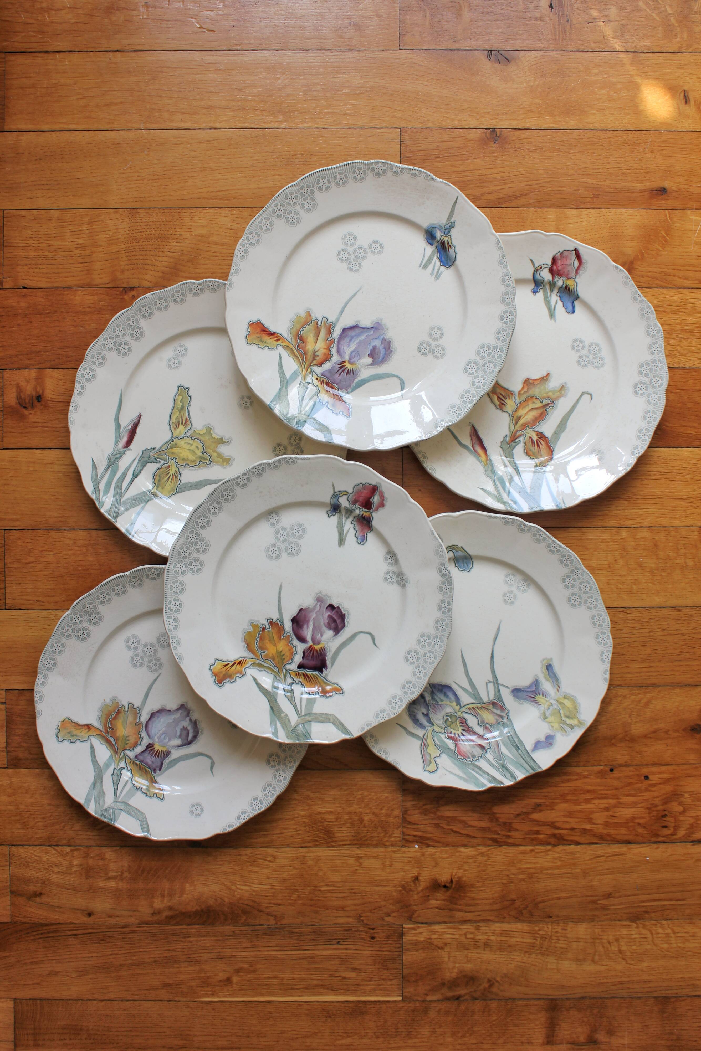 6 large flat plates in polychrome iron earth model "Iris" Choisy-le-Roi