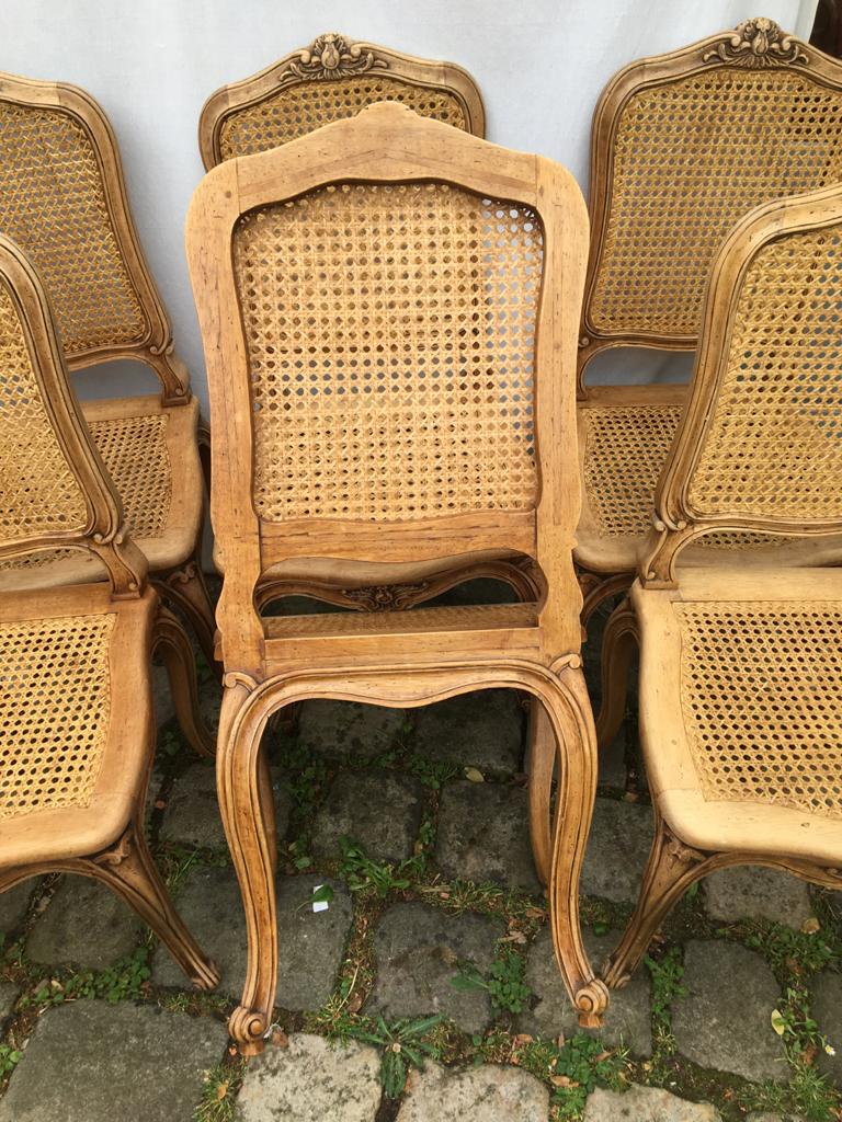 Series of 6 Chairs louis xv acanthus leaves and shell decapitated