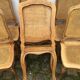 Series of 6 Chairs louis xv acanthus leaves and shell decapitated