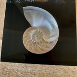 1970s lamp base, 2M fabric cable