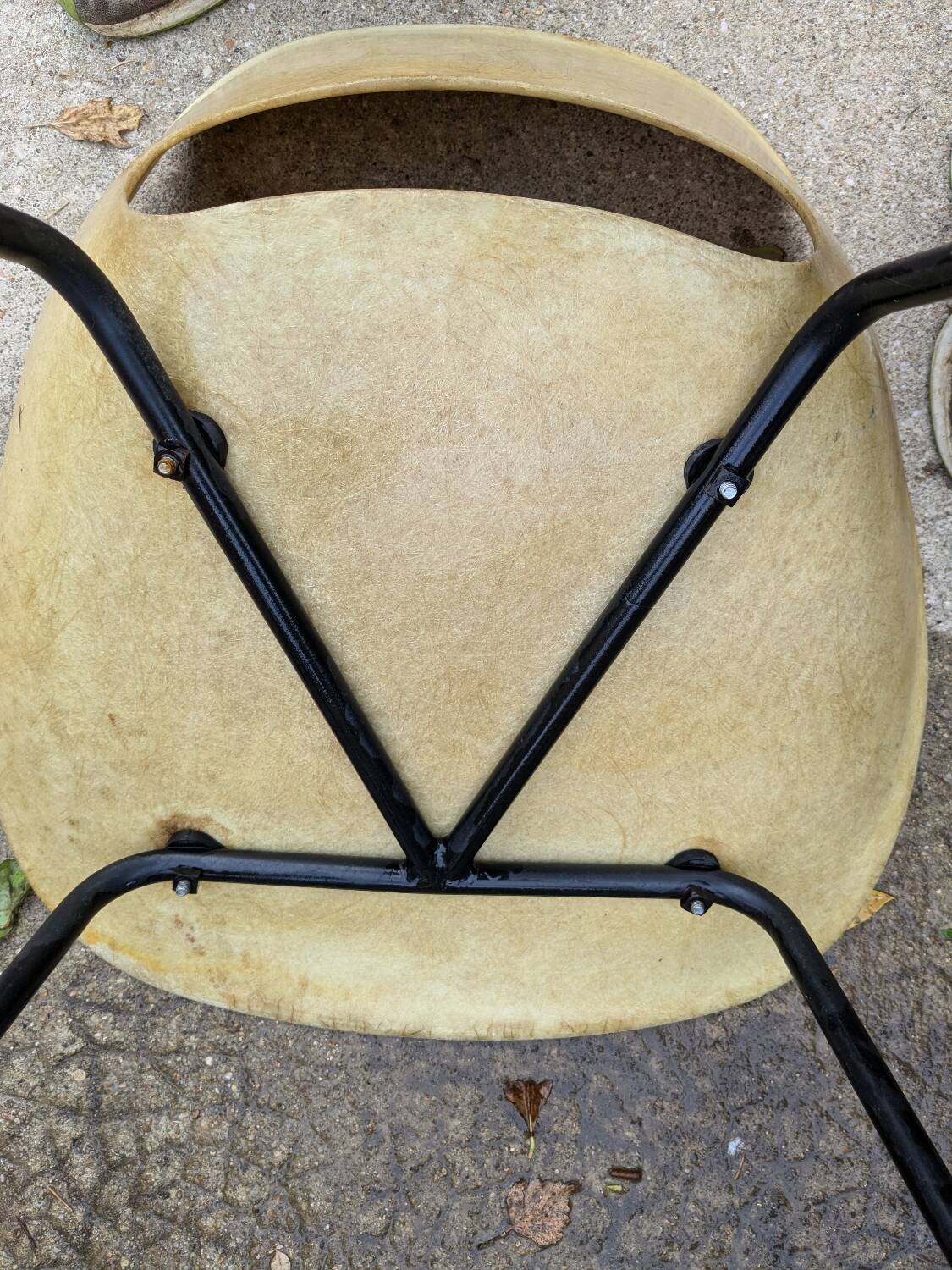Lot de 6 chaises pierre guariche