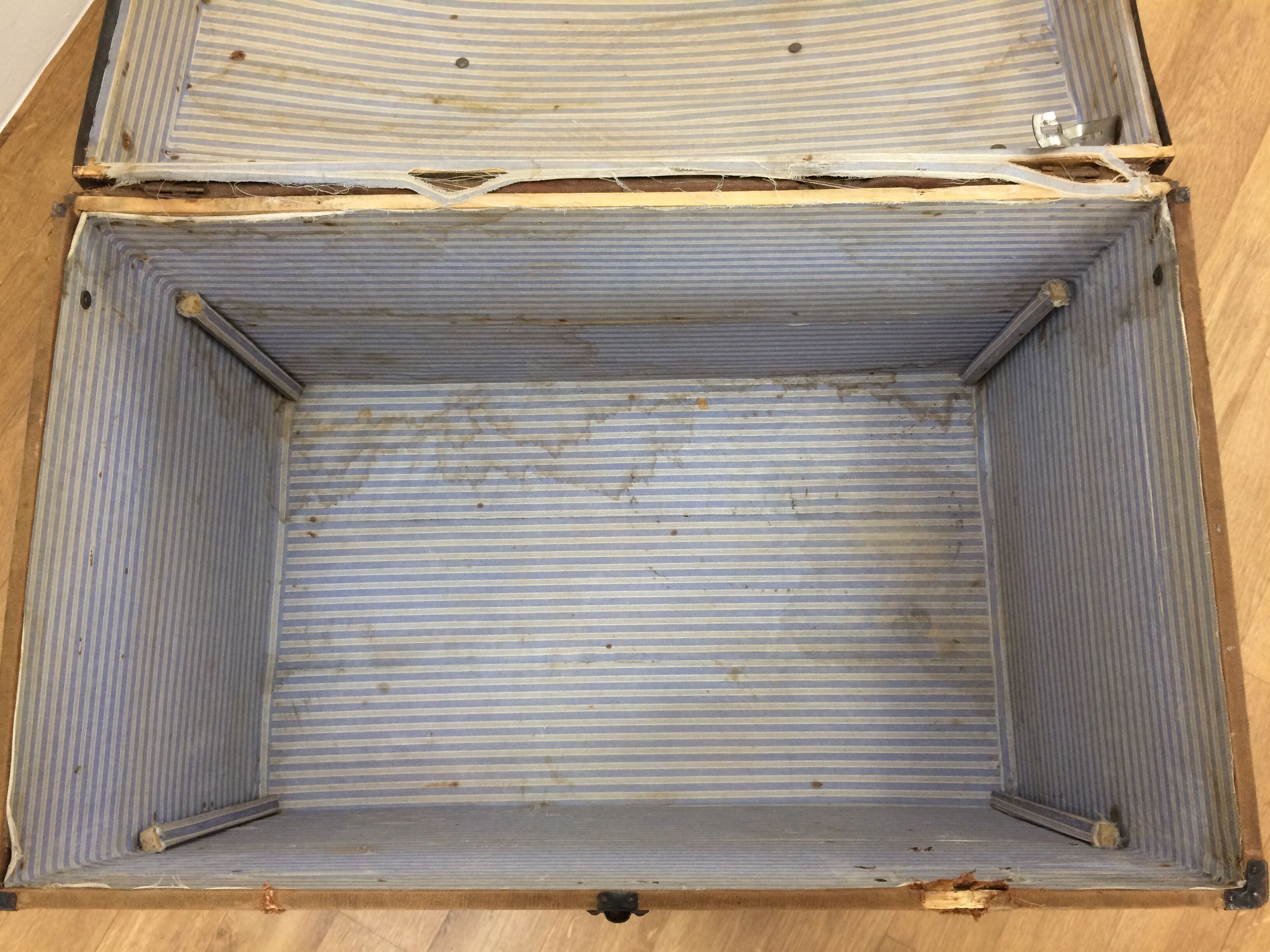 Bulging trunk at the tourist