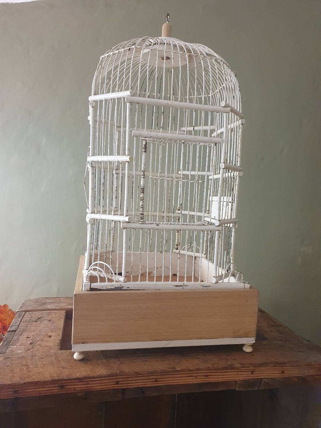Cage à oiseaux 1900