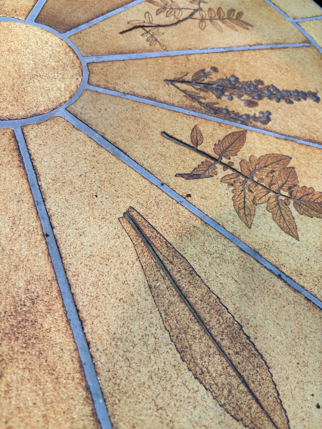 Table basse “Les herbiers” par Capron