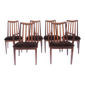 Series of 6 vintage Scandinavian chairs Gplan