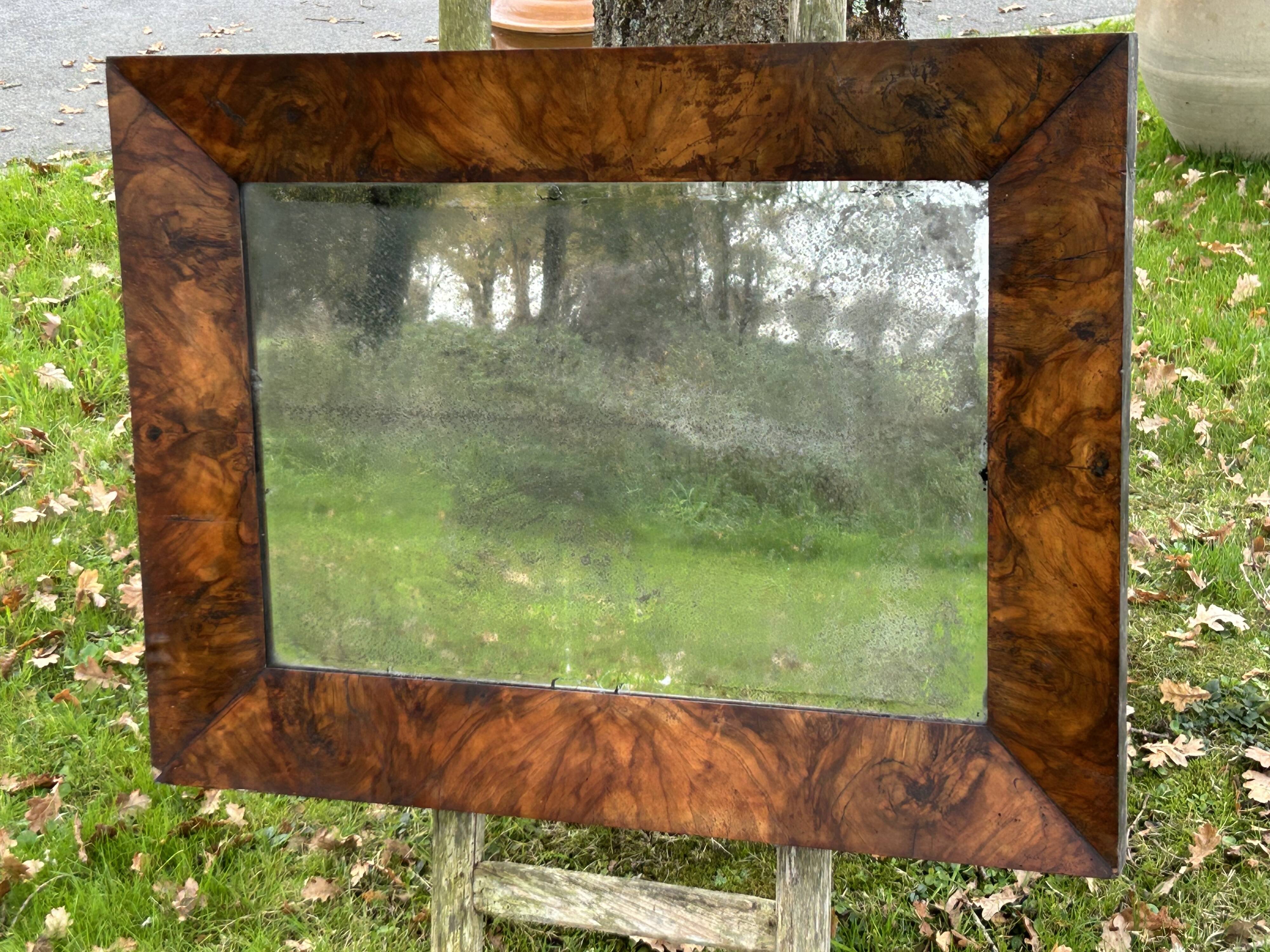 Antique mirror with elm burl molding, heavily demercurized, in its current condition