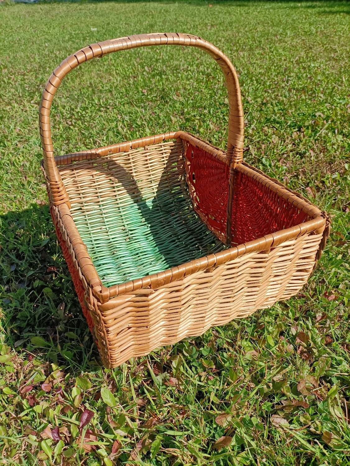 Retro Watermelon Basket