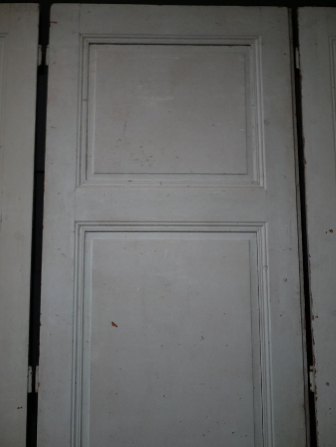 Antique painted wooden doors
