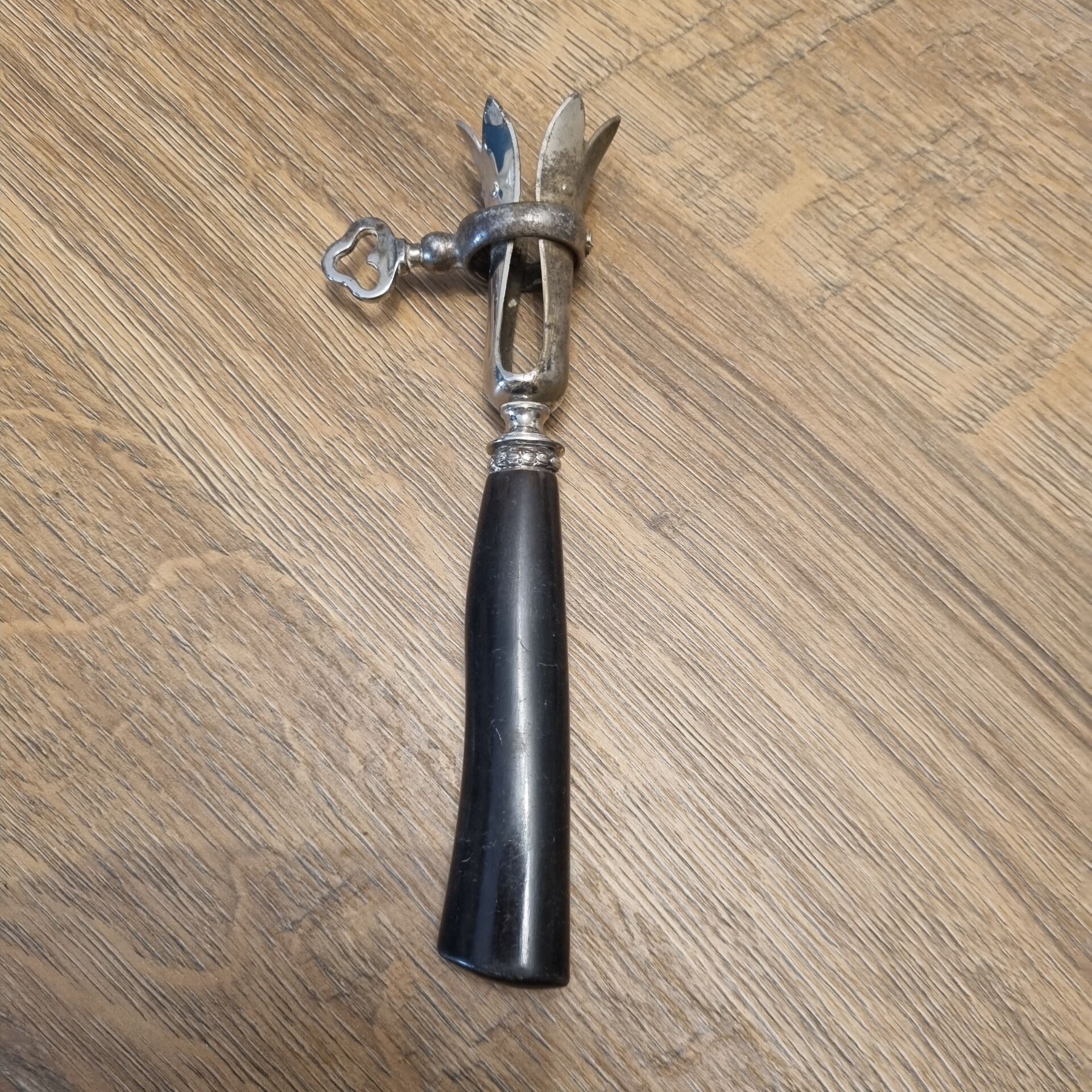 Pince a gigot début XXéme,  corne de vache