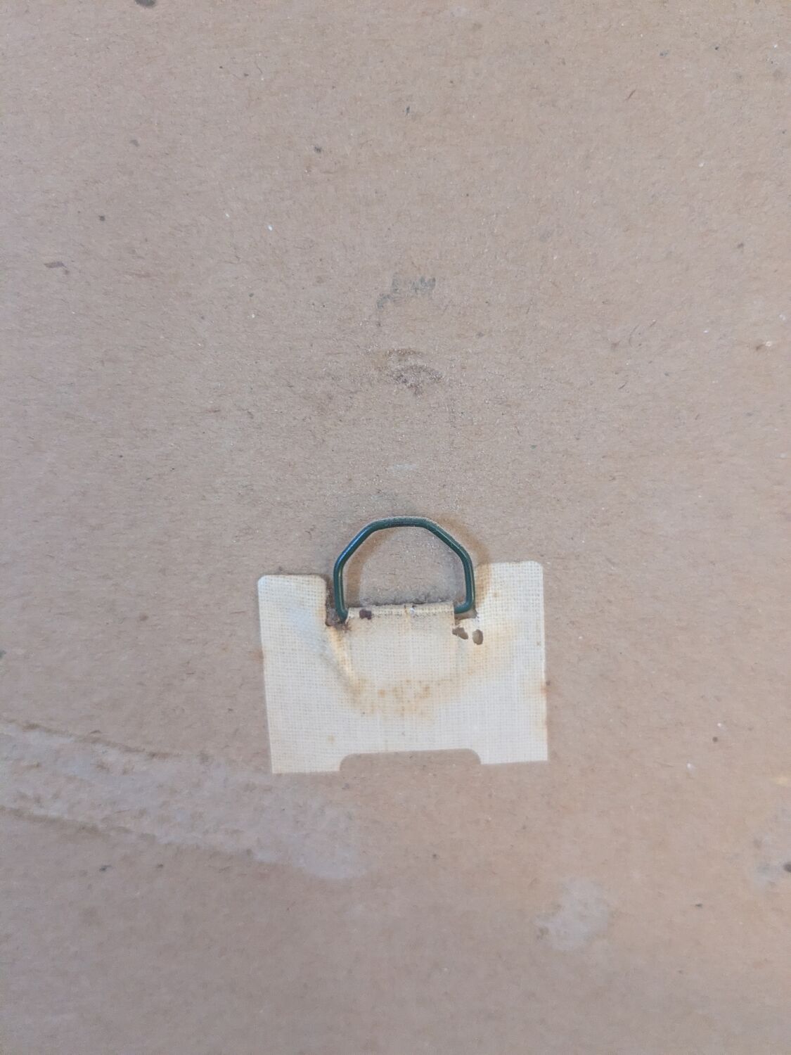 Lithograph of yellow sulphur rose by P.J. Redouté