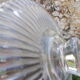 Dish with its Arcoroc plate.