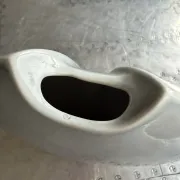 Vase poisson