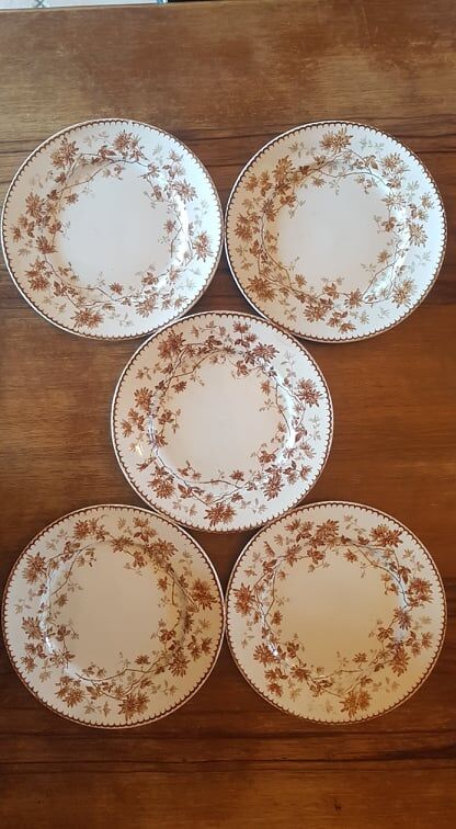 Set of 5 plates in Terre de Fer Creil & Montereau model Mignardise